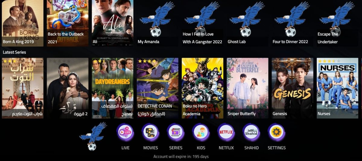 A screenshot displaying a list of TV shows and movies, including titles such as "KING," "Back to the Outback," "How I Fell in Love with a Gangster," "Ghost Lab," and "Detective Conan." The interface also shows an account expiration notice indicating 195 days left. The design includes various tags related to multimedia software and graphic design.